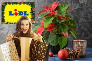 pianta di natale donna con buste della spesa logo natalizio lidl